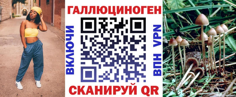 цена наркотик  Одинцово  Псилоцибиновые грибы Psilocybe 